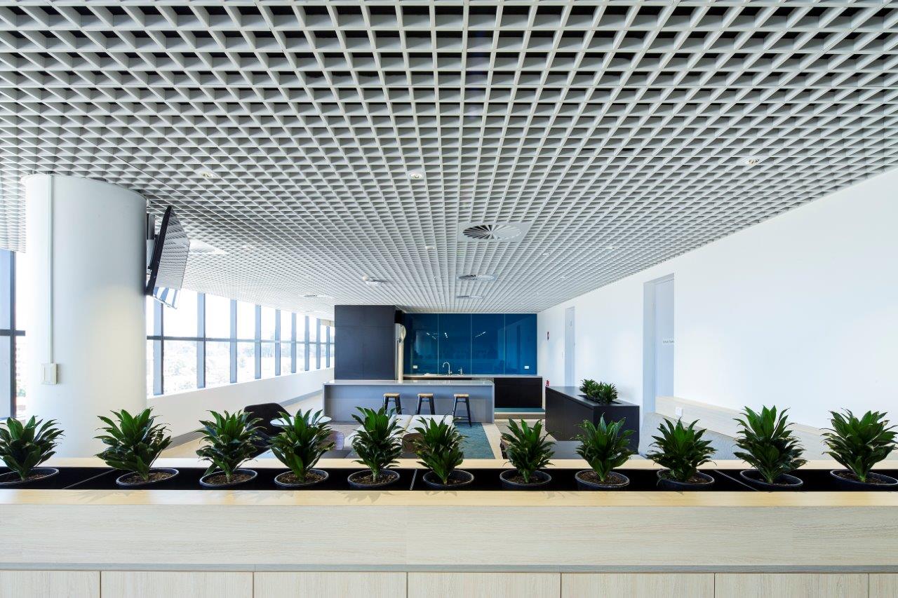 RMS-Lrg-800-com (5).jpg