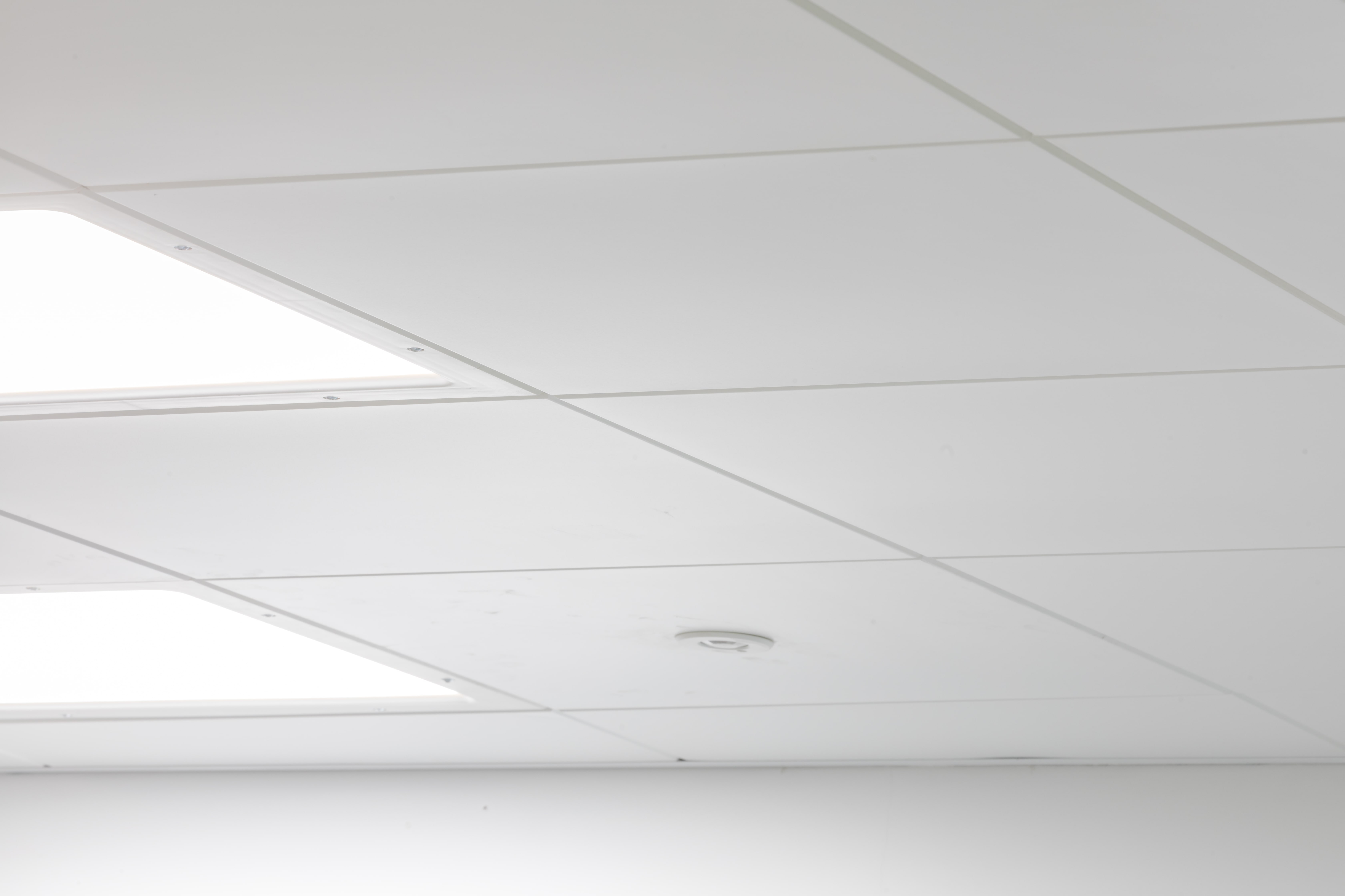 Brack-Lrg-150-Com (1)-min.jpg